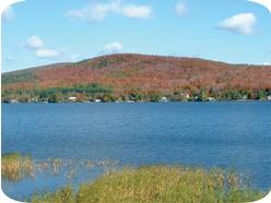 Lake Wallace (Looking onto Canada)